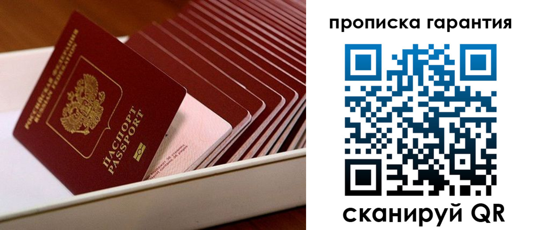 прописка поиск в Архангельске